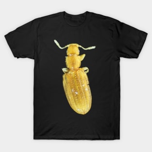 Tiny minute brown scavenger beetle T-Shirt